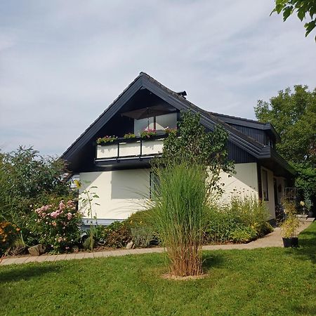 Ferienwohnung Sylvia Michelstadt Exteriör bild