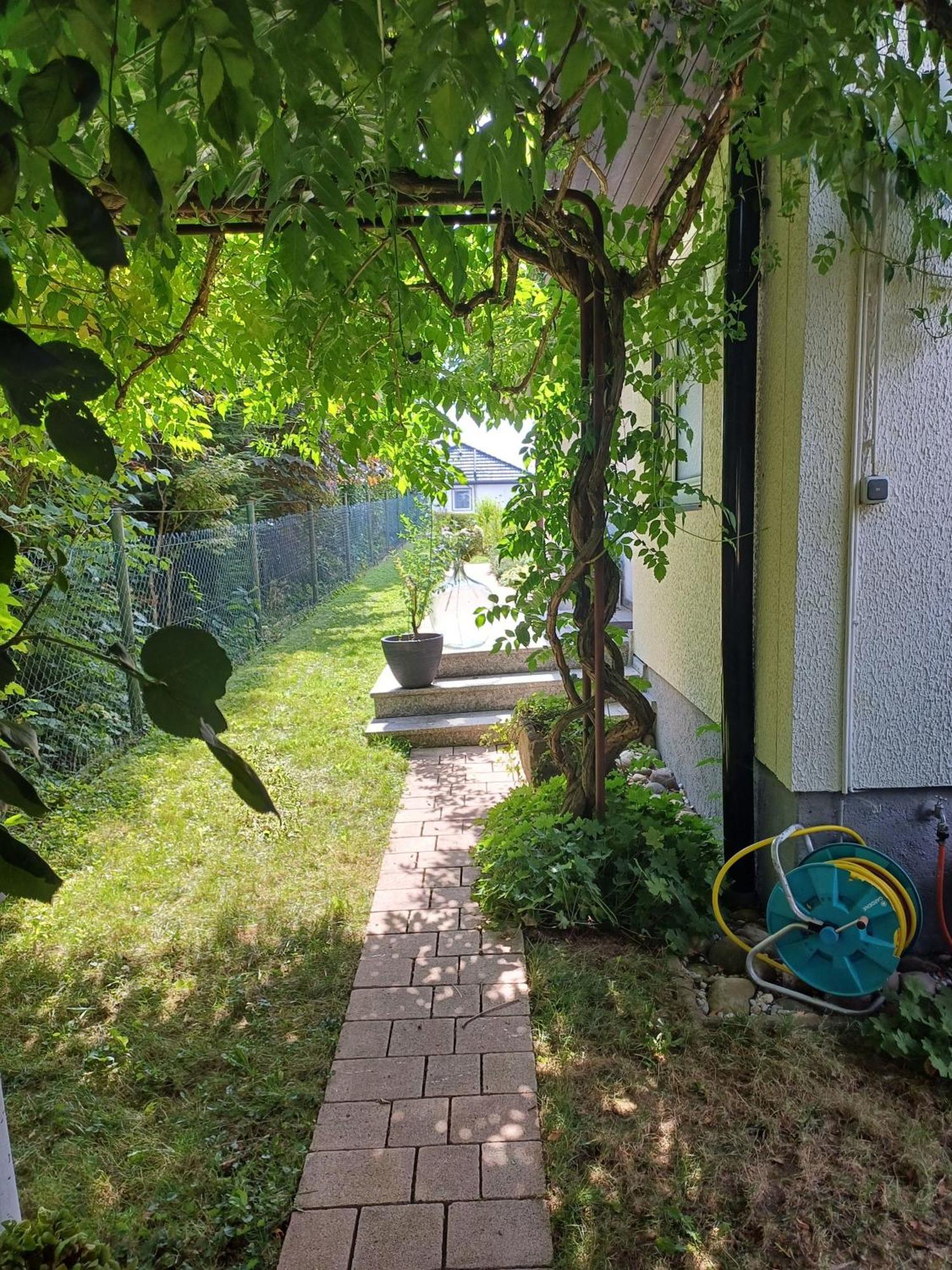 Ferienwohnung Sylvia Michelstadt Exteriör bild